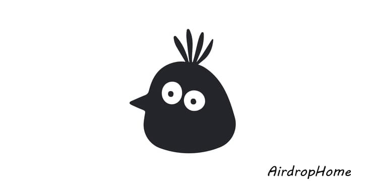 BIRDS logo