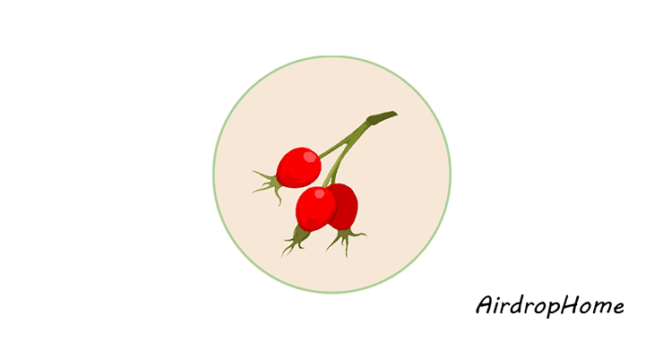 rosehip-finance logo